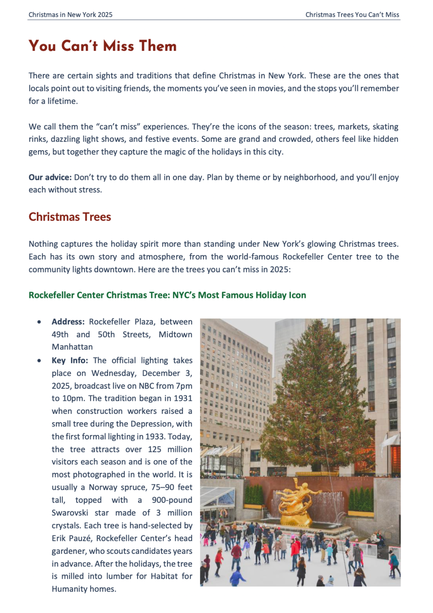 Christmas in New York 2025 Guidebook